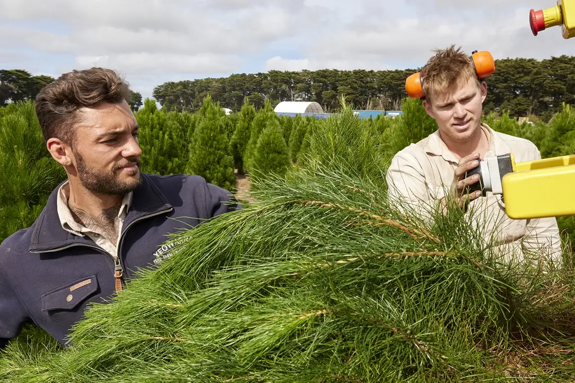 Rocking around the christmas tree farm workes2